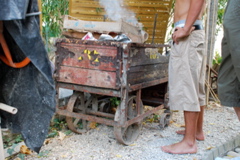 DSC_9629.JPG