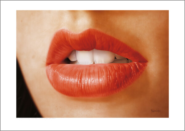 Oui! (format A3,29,7x42 cm)